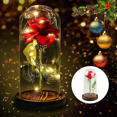 Beauty And The Beast Enchanted Rose In Glass Dome Led Light Usb Lamp Decor Gift