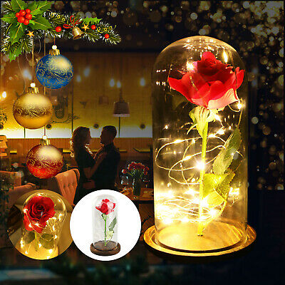 Beauty Galaxy Rose Flower In Glass Dome Led Light Lamp Decor Gift For Xmas Lover