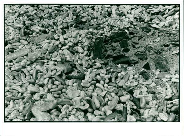 Environment Protection Recycling Waste Disposal Unu - Vintage Photograph 3318117