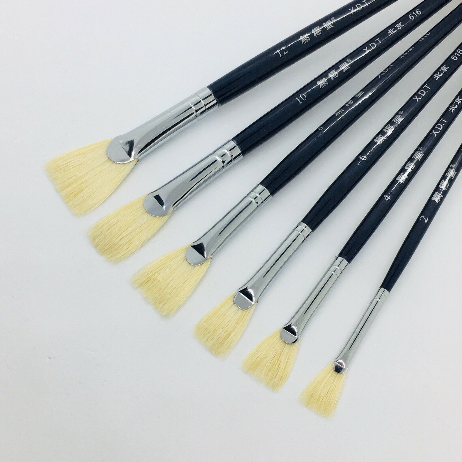 Xdt#616 Fan Artist Paint Brush Art Brushes 6pc Hog Bristle Acrylic Watercolor