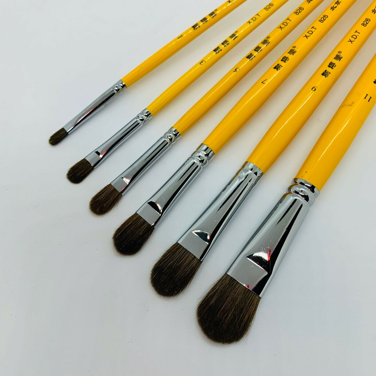 Xdt#826 Filbert Style Artist Paint Brush Art Brushes 6pc Oil Watercolor Acrylic